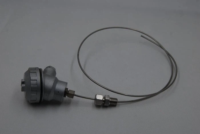 DSC1003001 DSC1003001